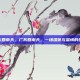 广东回南天，广东回南天，一场湿意与温情的纠缠