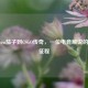 从Seven茄子到CSGO传奇，一位电竞解说的热血征程