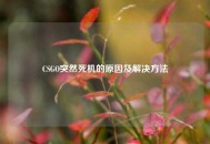 CSGO突然死机的原因及解决方法
