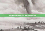 木叶曙光2.4探索成长之旅，新章节的启示与挑战