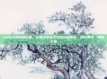 lol社交名流换位置，云顶之弈社交名流站位艺术，换位思考，决胜千里
