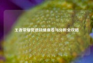 王者荣耀营地战绩查看与分析全攻略