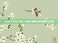 MSM8255，新一代无线通信技术的探索与前沿