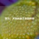 蒸汽，天地间最古老的呼吸