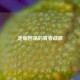 走廊回荡的青春战歌