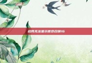 战网无法显示使命召唤16