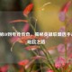 从神秘ID到电竞传奇，揭秘英雄联盟选手Zero的崛起之路