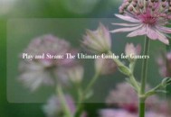 Play and Steam: The Ultimate Combo for Gamers