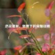 逆战星辰，烟雾下的荣耀征程