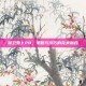 保卫萝卜28，策略与技巧的完美融合