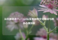 从白银到老六，CSGO玩家蔑称的文化解读与群体心理剖析