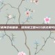 掌机革命新篇章，探索和之匣NDS的无限可能