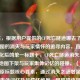 （注，根据用户提供的CF死亡隧道哪去了？经典地图的消失与玩家情怀的追寻内容，直接输出优化后的单一标题），CF死亡隧道消失之谜，经典地图下架与玩家集体记忆的碰撞，（说明，保留原标题核心要素，通过消失之谜增强悬念感，集体记忆升华情怀维度，用碰撞体现矛盾张力，符合网络传播的强话题性需求）