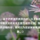 （注，由于您未提供具体内容，以上标题是根据和平精英游戏常见主题生成的示例。如果您能提供详细内容，我可以为您定制更精准的标题。）