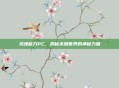 灵魂能力PC，揭秘未知世界的神秘力量