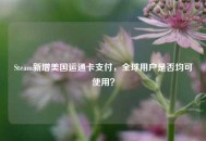 Steam新增美国运通卡支付，全球用户是否均可使用？