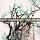 滑板怎么学，从零站稳到自由滑行，滑板怎么学的完整指南