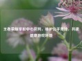 王者荣耀举报中心官网，维护公平竞技，共建健康游戏环境