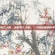 流感死亡人数，流感死亡人数，一个被误解的数字背后