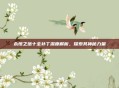 永恒之塔十全补丁深度解析，探索其神秘力量