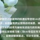 注，根据您之前提到的联通玩电信区LOL这一核心需求，标题聚焦跨运营商游戏场景，同时涵盖网络优化的技术方案和实战技巧的实用建议，符合游戏玩家搜索习惯（如LOL电信区等关键词）。若需调整侧重点，可补充说明。