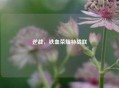 逆战，铁血荣耀特战联