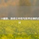 COD16 XN辅助，游戏公平性与技术伦理的边界探讨