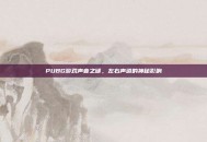 PUBG游戏声音之谜，左右声道的神秘影响