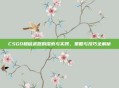 CSGO和谐武器的探索与实践，策略与技巧全解析