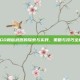 CSGO和谐武器的探索与实践，策略与技巧全解析