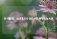 燃料管理，绝地求生中的战术资源与生存关键