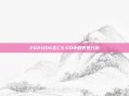 2021幻16在CS:GO中的表现分析