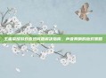王者荣耀游戏音效问题解决指南，声音异响的应对策略