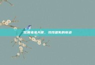 炫舞兔兔天使，寻找遗失的奇迹