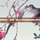 卵巢癌晚期症状，这是一篇关于卵巢癌晚期症状的科普文章