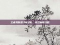 王者荣耀退订加速包，高效利用攻略