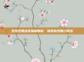 光环无限战役深度解析，探索游戏魅力所在