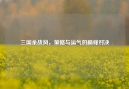 三国杀战风，策略与运气的巅峰对决