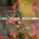 纸牌三国杀，战法策略、技巧与心理博弈全解析