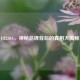 CF230A，神秘品牌背后的真相大揭秘