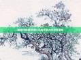 娜迦海妖极致强化与能效最大化出装策略