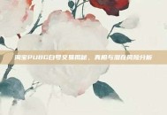 淘宝PUBG白号交易揭秘，真相与潜在风险分析