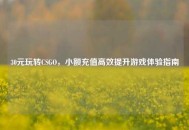 30元玩转CSGO，小额充值高效提升游戏体验指南