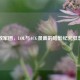 破败军团，LOL与ACG漫画的暗影纪元狂想曲