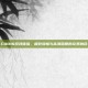 COD16游戏体验，极致流畅与高清画质的完美融合