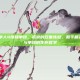 和平精英单人4排和单排，孤狼的双重炼狱，和平精英单人4排与单排的生存哲学