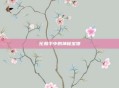 化鲸手中的神秘宝物