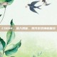 COD16，深入揭秘，揭开游戏神秘面纱