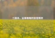 三国杀，运筹帷幄的智慧博弈