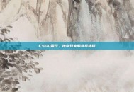 CSGO雷仔，传奇玩家的非凡旅程